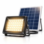 Flood Light