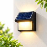 Wall Light